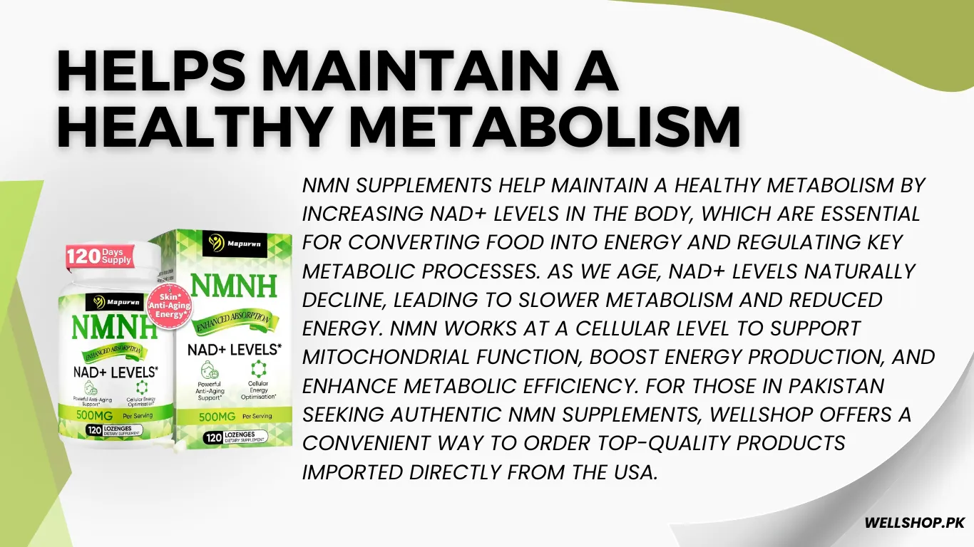 Helps Maintain a Healthy Metabolism