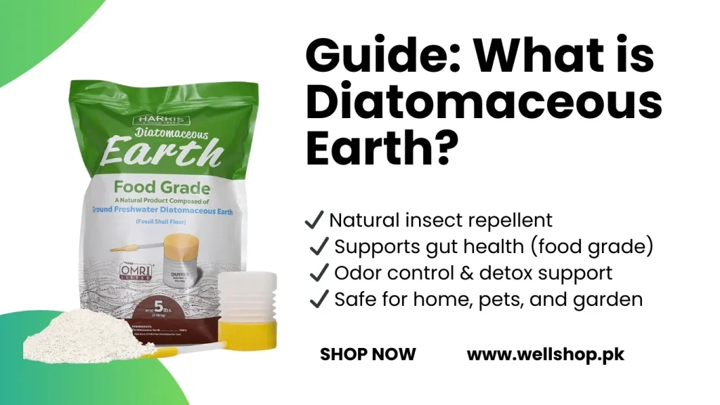 Guide: What is Diatomaceous Earth?