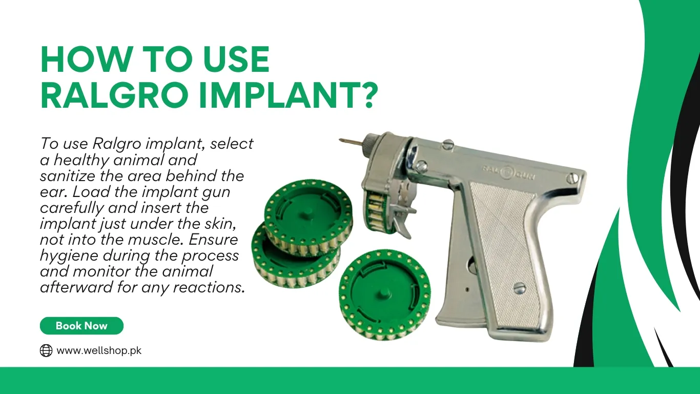 How To Use Ralgro Implant