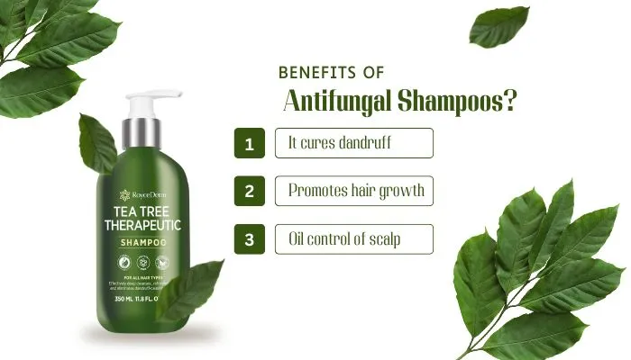 Benefits of Antifungal Shampoos: