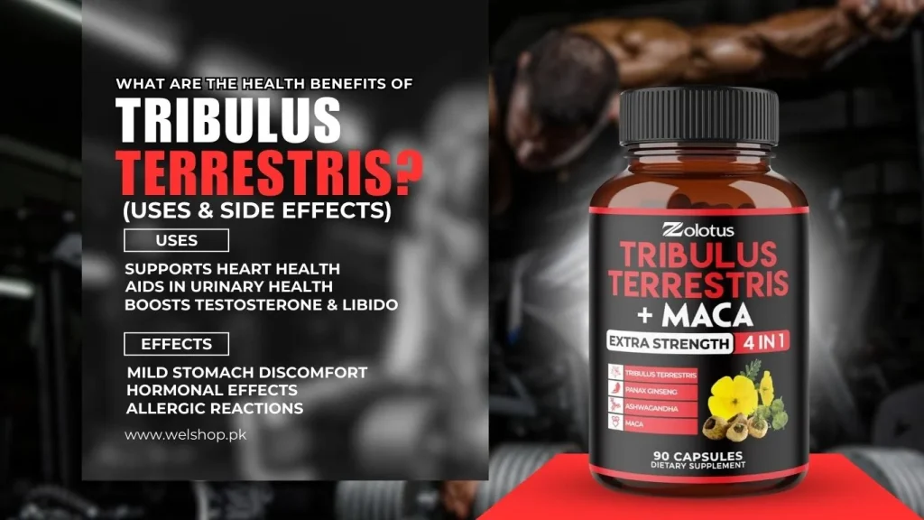 What Are the Health Benefits of Tribulus Terrestris? Uses & Side Effects