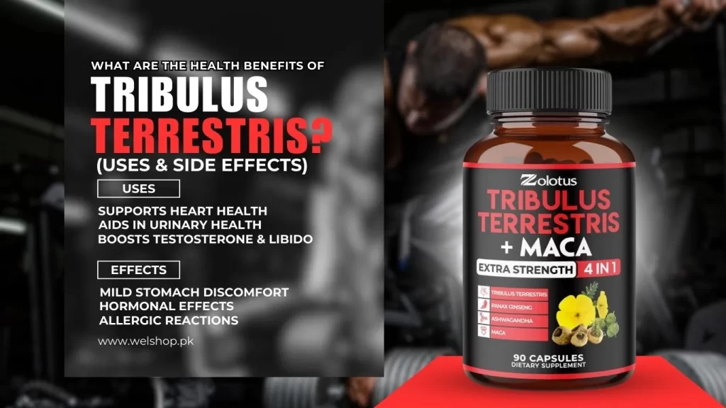 What Are the Health Benefits of Tribulus Terrestris? Discover Uses & Side Effects