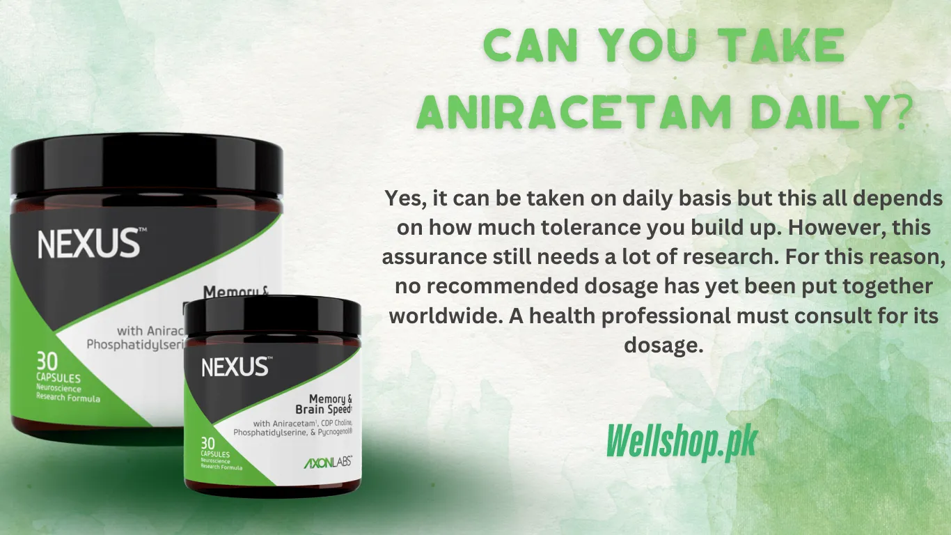 Can You Take Aniracetam Daily