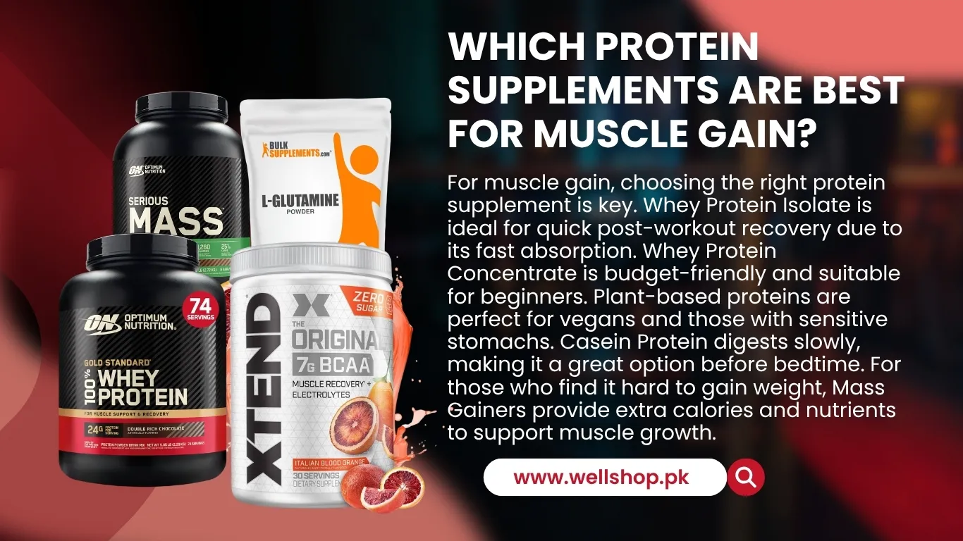 Which Protein Supplements Are Best For Muscle Gain?