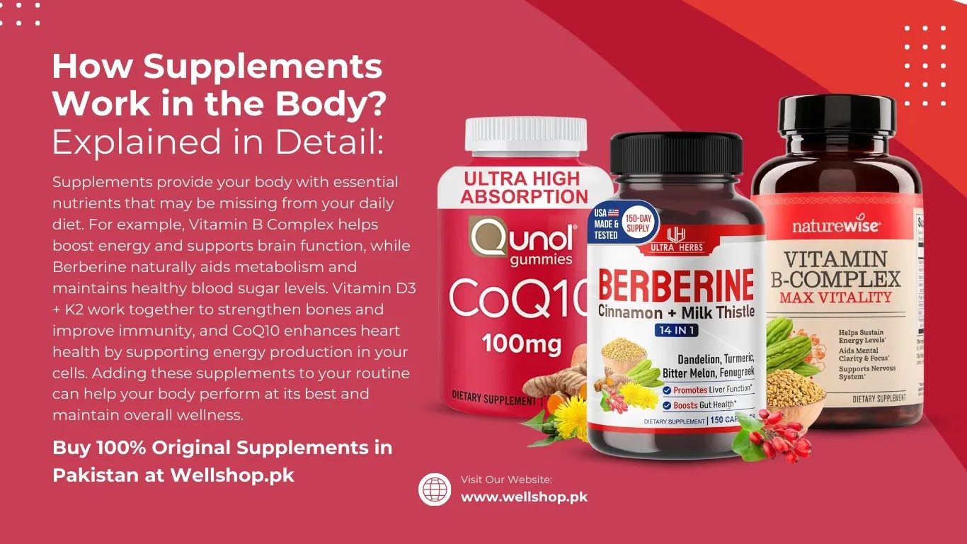 showing how supplements work inside the body, explained step by step in detail for better understanding.