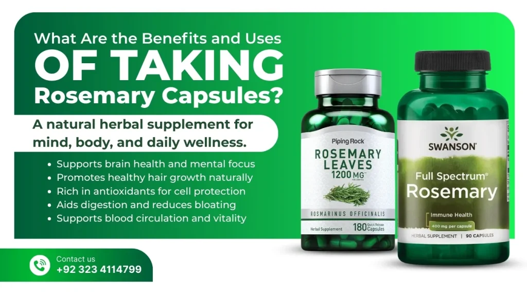 What Are The Benefits And Uses of Taking Rosemary Capsules