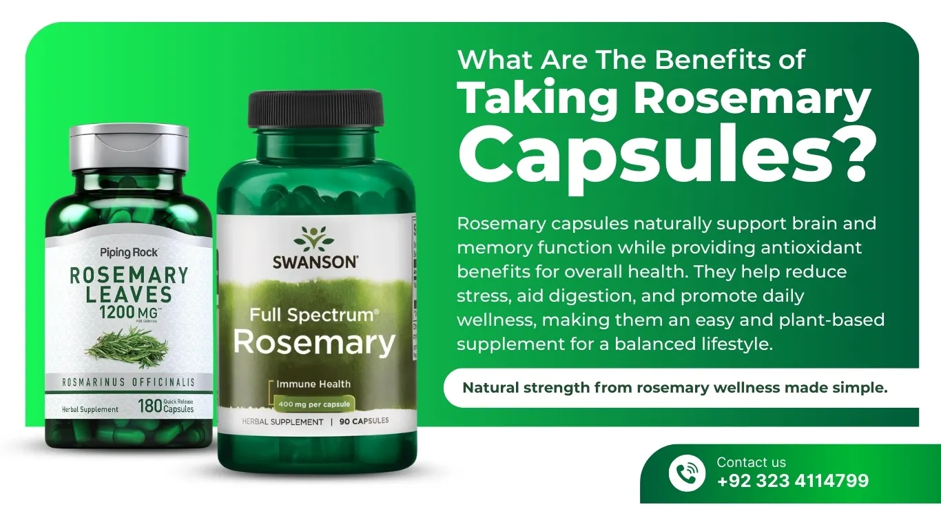 What Are The Benefits of Taking Rosemary Capsules