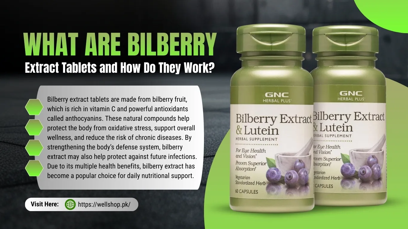 What Are Bilberry Extract Tablets and How Do They Work