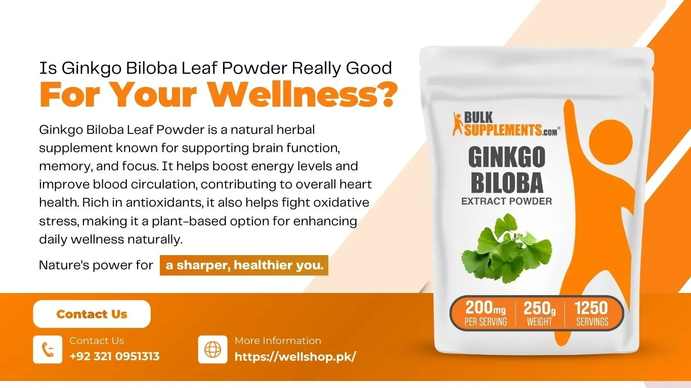 Is Ginkgo Biloba Leaf Powder Really Good for Your Wellness?
