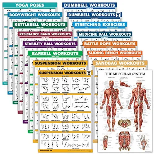 16 Pack - Exercise Poster Set: Dumbbell, Suspension, Kettlebell, Resistance Bands, Medicine Ball, Battle Rope, Stretching, Bodyweight, Barbell, Yoga, Exercise Ball, Muscular (LAMINATED, 18
