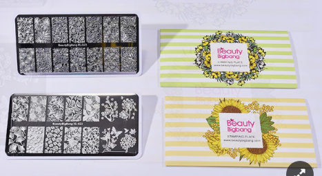 2Pcs Leaf Flower Nail Art Printing Plate Combination Set