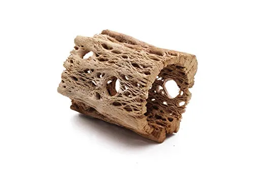 3, 6, 9, 12 Inch All Natural Teddy Bear Cholla Wood Extra Hollow Untreated Organic Aquarium Driftwood Decoration Chew Toy Shrimp Crab Pleco Cichlid Nano Tank Birds 1 or 5 Pieces (1 Piece, 3 inch)