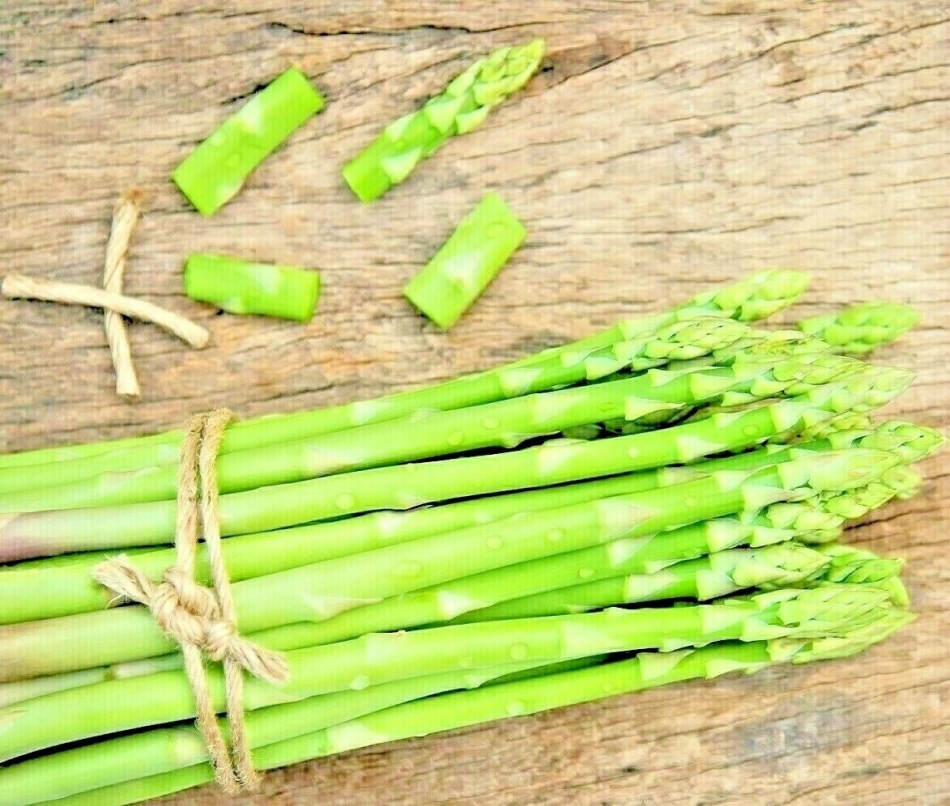 ASPARAGUS AUTUMN PERENNIAL 150 SEEDS FALL MARY WASHINGTON VEGETABLE HEIRLOOM USA
