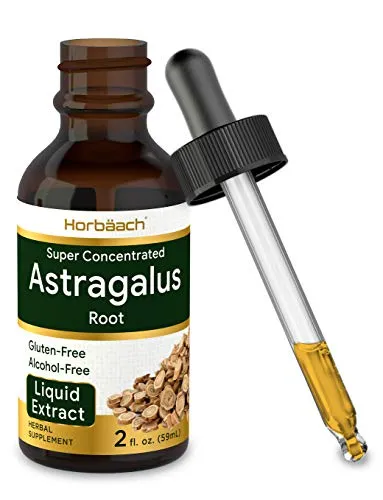 Astragalus Root Extract | 2 oz | Alcohol Free | Super Concentrated | Vegetarian, Non-GMO, Gluten Free Tincture | by Horbaach