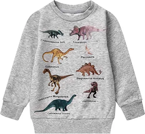 Baby Boys Dinosaur Sweatshirt Long Sleeve Crewneck Pullover Toddler Kids Dino Shirt Warm Sweater T-Rex T shirt 3t Gray