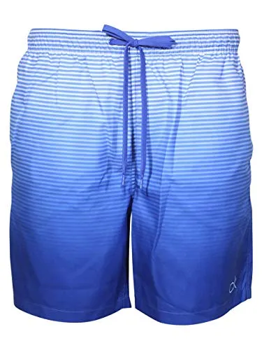 Calvin Klein Degraded Stripe Shorts Trunks Palace Blue Men's Swimwear Sz: M