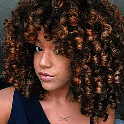Curly Wigs for Black Women - Premium Curly Afro Wig, Short Synthetic Kinky Curly Wig with Bangs(Brown #2T30)