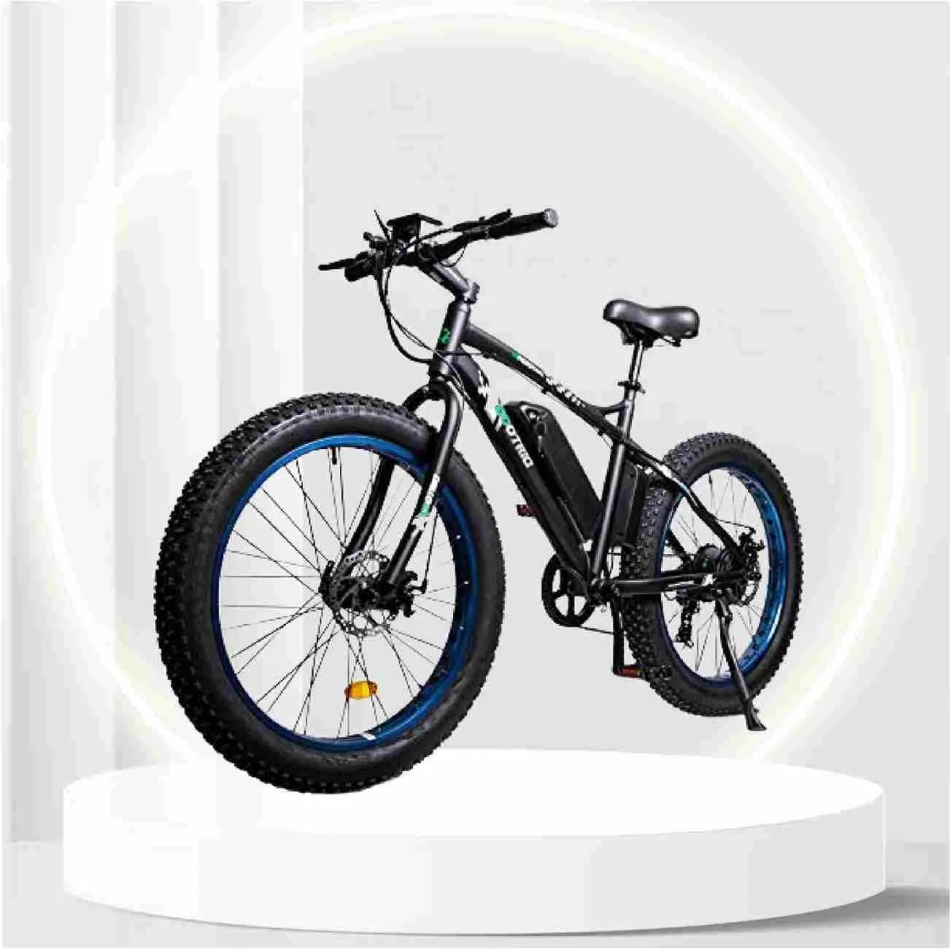 ECOTRIC Powerful Electric Bicycle 26