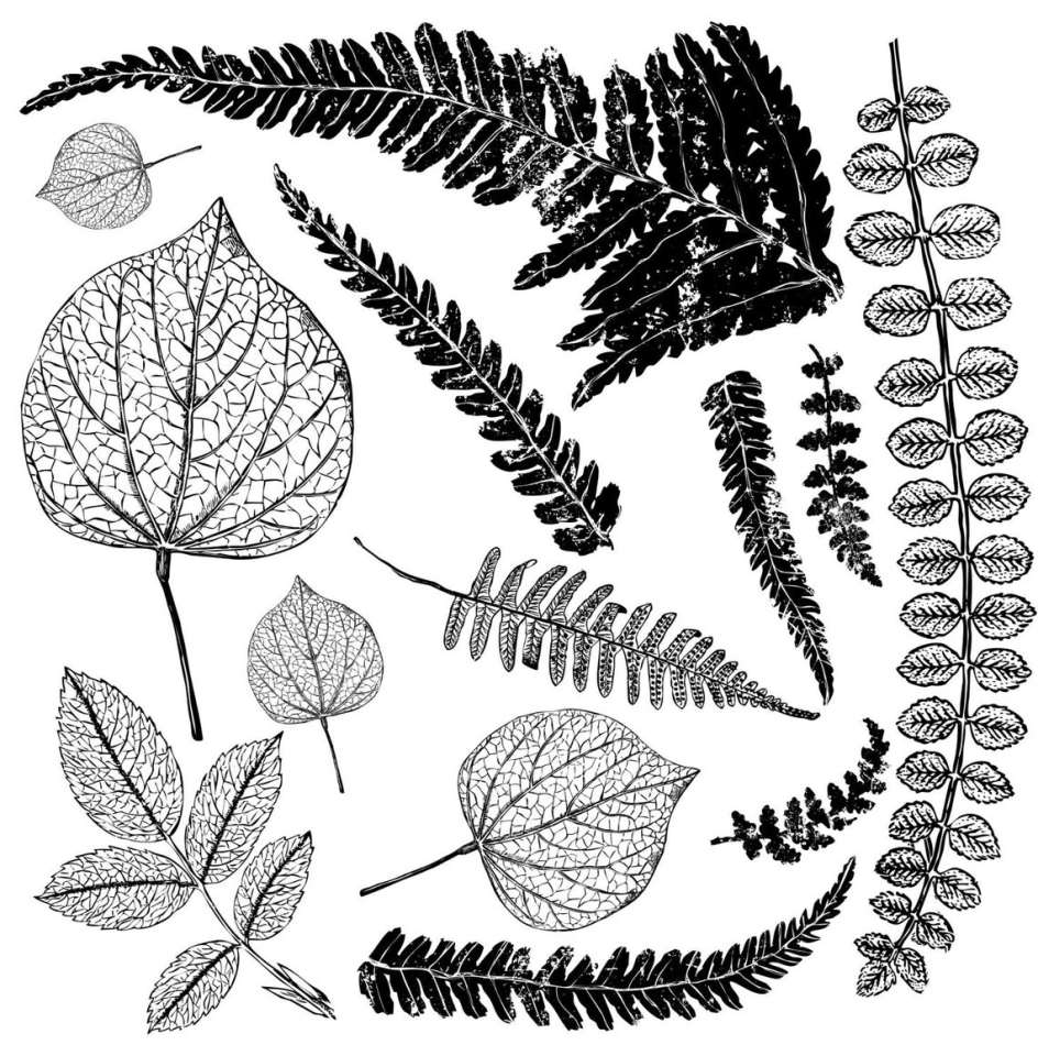 IOD Fronds 12Ã12 Stamp