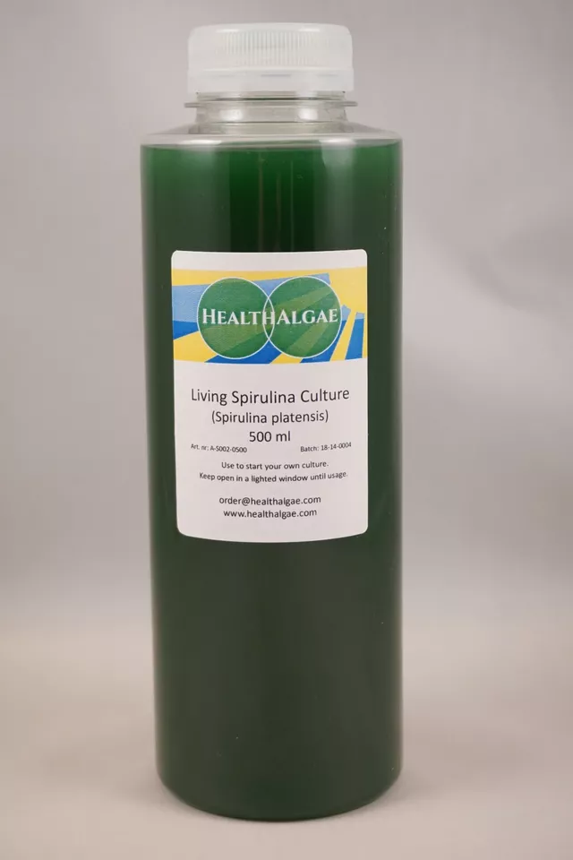 Live Spirulina platensis culture (500 ml) 