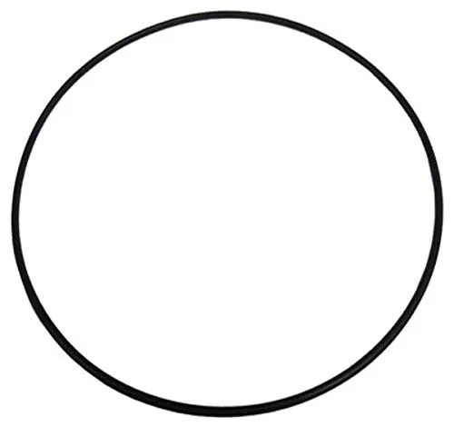 Pentair 516244 Metric O-Ring Replacement Bermuda Gunite and Vinyl Liner Skimmer Float Valve