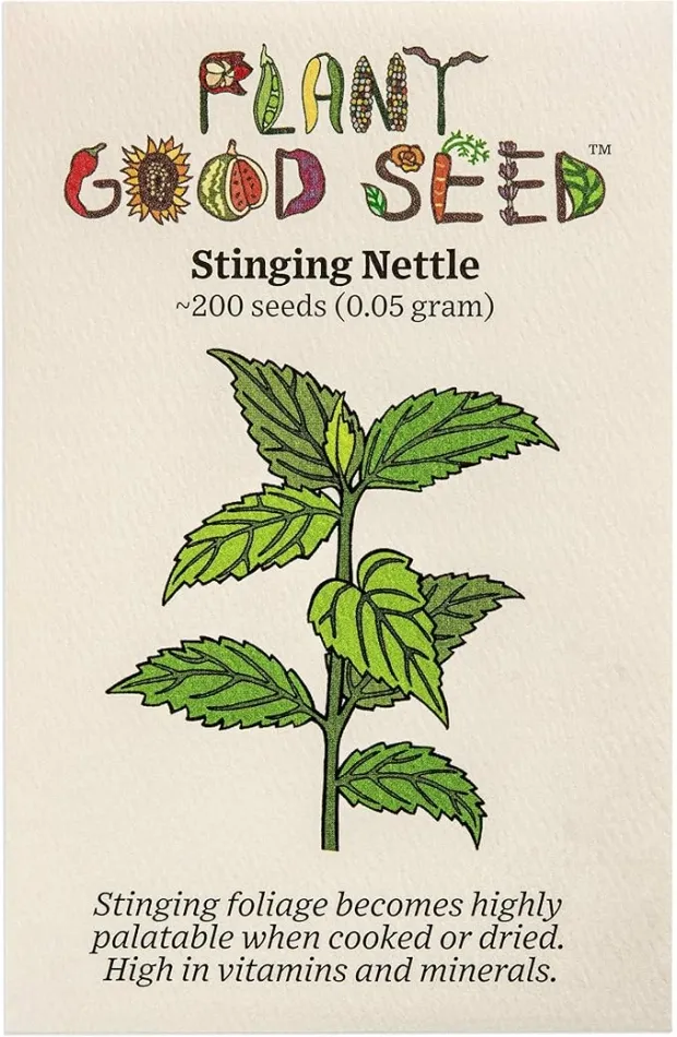 Plant Good Seed Organic Stinging Nettle Seeds - Pack of 200, Heirloom Seeds for Planting Herbs, Flowers - Gardening Supplies, Wildflower, Herb Garden, Flower Seeds to Plant Outside - Non-GMO from USA