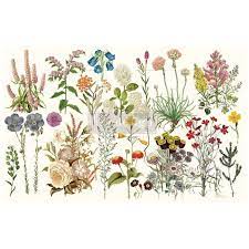 Quick Shipping! Wild Herbs - Mulberry Decoupage Tissue Paper - 19