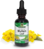 Nature's Answer Mullein Herb - Mullein Leaf Extract for Lungs - Alcohol Free, Non GMO, Made in USA - Supports Respiratory Function & Promotes Healthy Lungs - Mullein Leaf 1 Ounce Extract