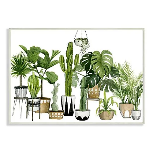 Stupell Industries Boho Plant Scene with Cacti and Succulents in Geometric Pots Watercolor, Design by Grace Popp Wall Art, 10 x 15, Green