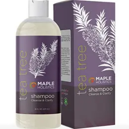 Tea Tree Shampoo for Dry Hair - Clarifying Shampoo for Build Up and Dry Scalp Treatment with Tea Tree Oil for Hair Moisturizing and Dry Flaky Scalp Care - Sulfate Free Shampoo for Color Treated Hair