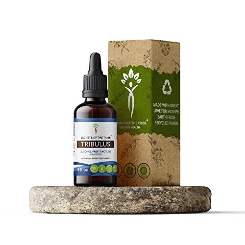 Tribulus Tincture Alcohol-Free Extract, Organic Tribulus (Tribulus Terrestris) Dried Fruit (4 FL OZ)