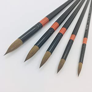 XDT#950 Mop Round Tip Artist Paint Art Brush 5pc Natural Hair Acrylic Watercolor #2 #4 #6 #8 #10